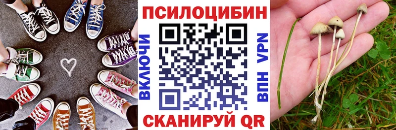 Галлюциногенные грибы ЛСД  blacksprut зеркало  Куртамыш  где купить  